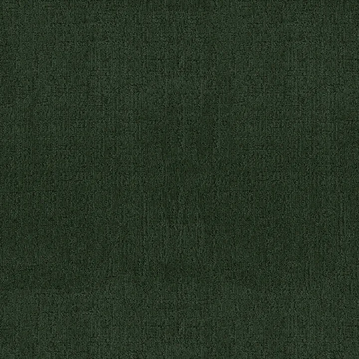Anderson Tuftex Indulgent — Deep Pine · ZZ331-00345 — flooring selection with LeviArs Design & Remodeling
