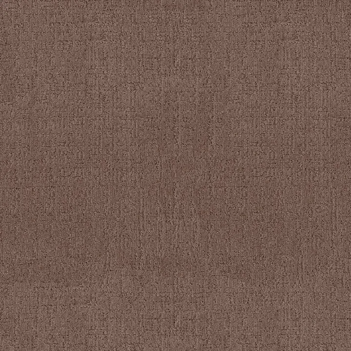 Anderson Tuftex Indulgent — Desert Haze · ZZ331-00725 — flooring selection with LeviArs Design & Remodeling