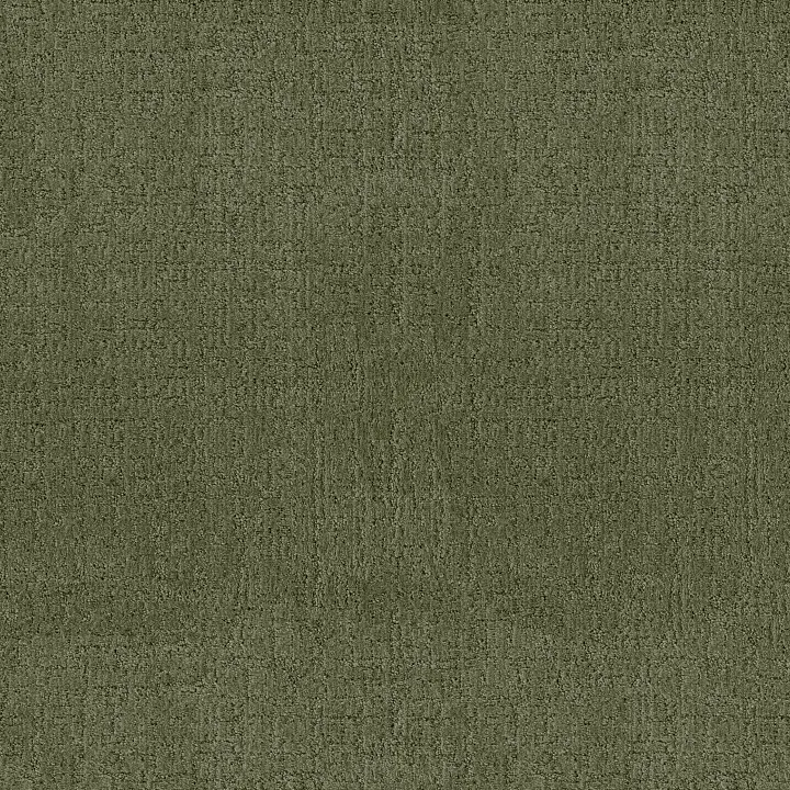 Anderson Tuftex Indulgent — Fern · ZZ331-00344 — flooring selection with LeviArs Design & Remodeling