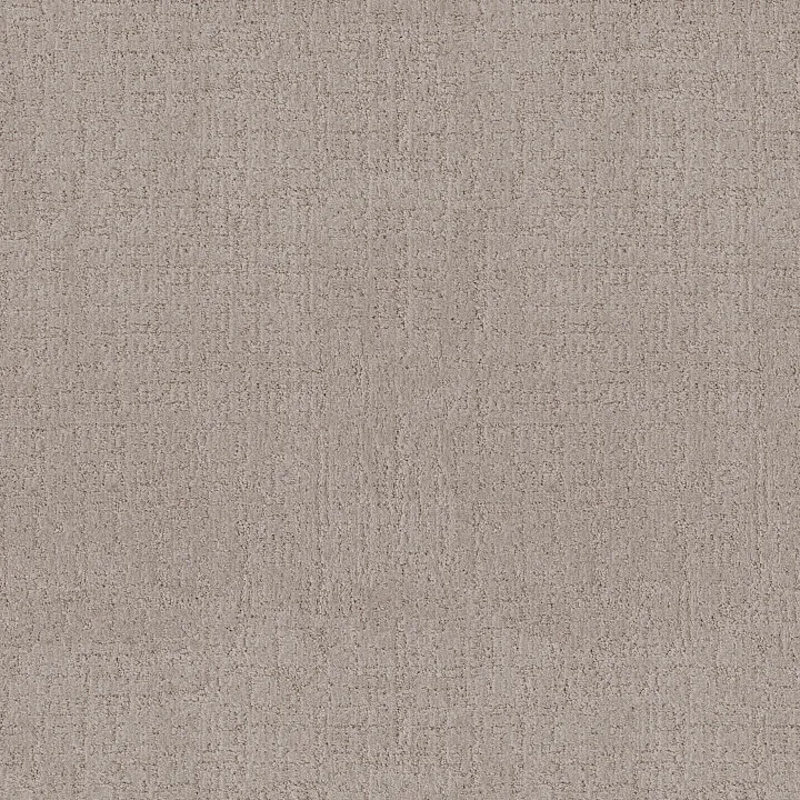 Anderson Tuftex Indulgent — Greige · ZZ331-00511 — flooring selection with LeviArs Design & Remodeling