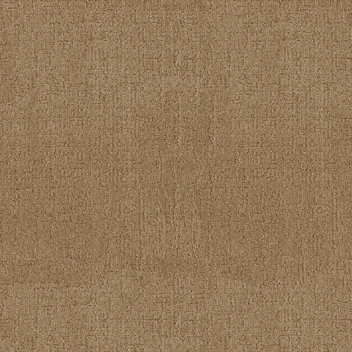 Anderson Tuftex Indulgent — Honeycomb · ZZ331-00740 — flooring selection with LeviArs Design & Remodeling