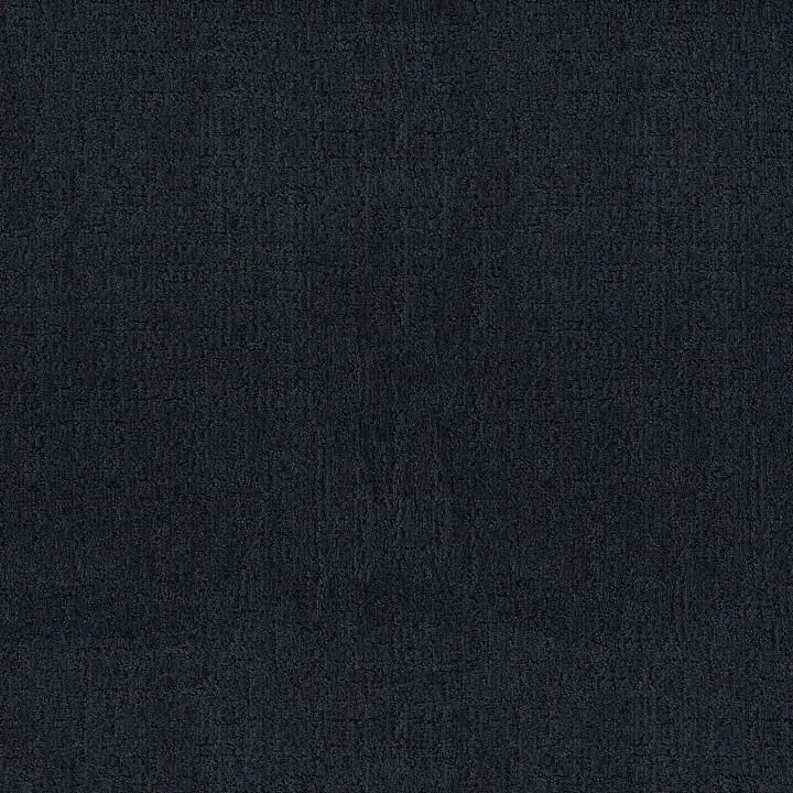 Anderson Tuftex Indulgent — Indigo · ZZ331-00443 — flooring selection with LeviArs Design & Remodeling