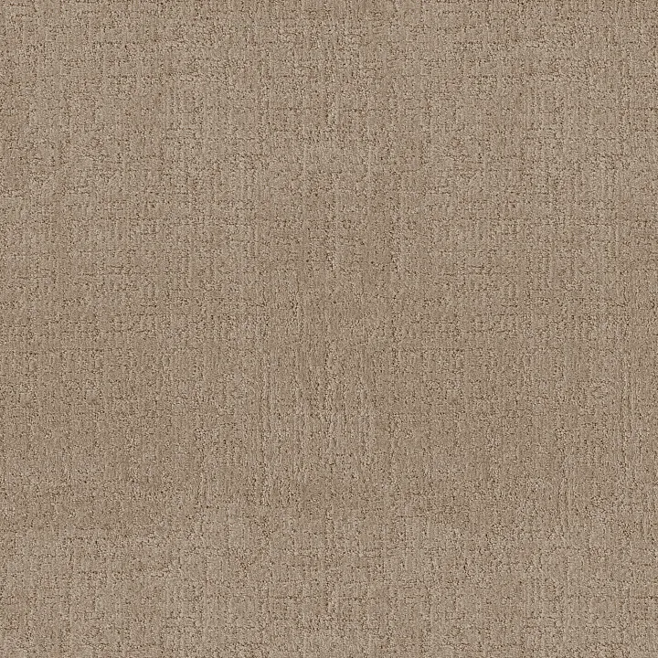 Anderson Tuftex Indulgent — Landmark · ZZ331-00128 — flooring selection with LeviArs Design & Remodeling