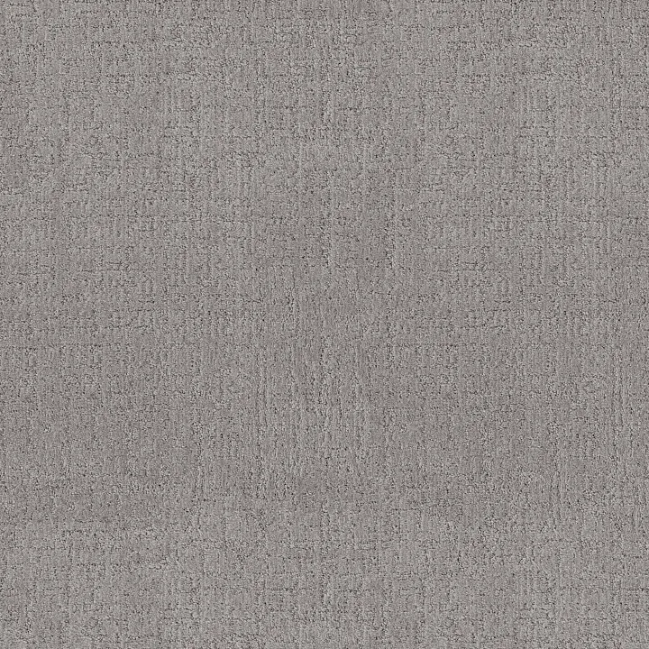 Anderson Tuftex Indulgent — Light Year · ZZ331-00541 — flooring selection with LeviArs Design & Remodeling