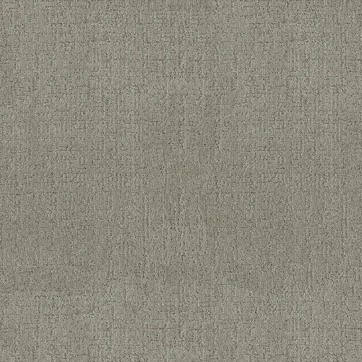 Anderson Tuftex Indulgent — Mint Leaf · ZZ331-00341 — flooring selection with LeviArs Design & Remodeling