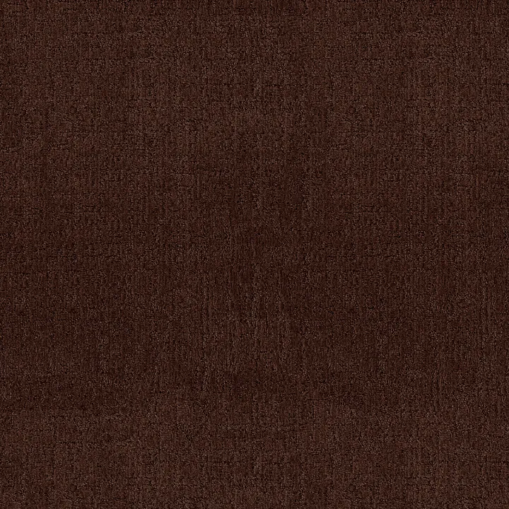 Anderson Tuftex Indulgent — Moroccan · ZZ331-00726 — flooring selection with LeviArs Design & Remodeling