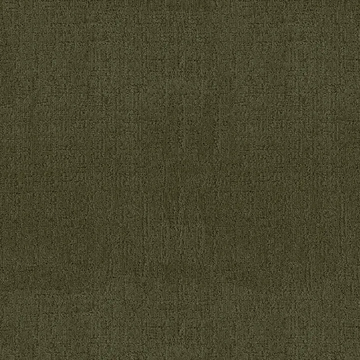 Anderson Tuftex Indulgent — Olive Tree · ZZ331-00342 — flooring selection with LeviArs Design & Remodeling