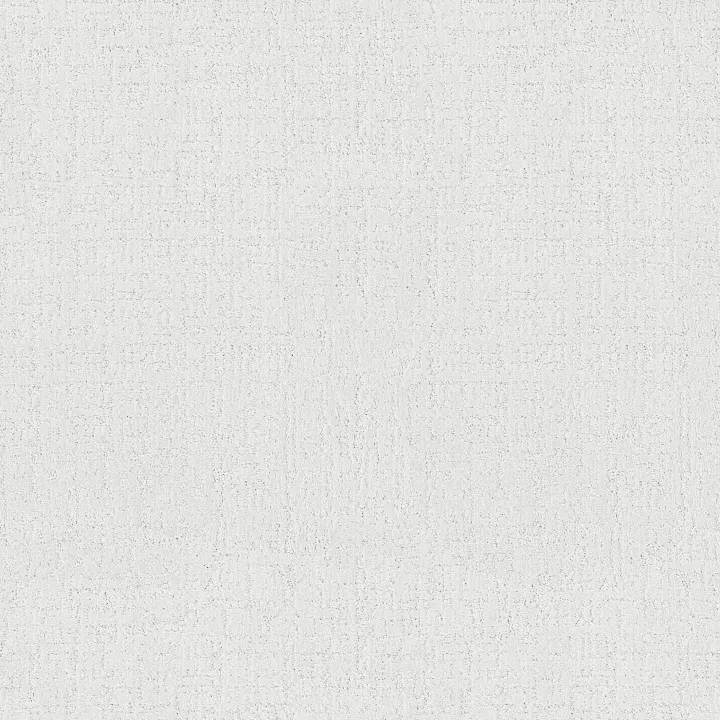 Anderson Tuftex Indulgent — Stucco · ZZ331-00120 — flooring selection with LeviArs Design & Remodeling