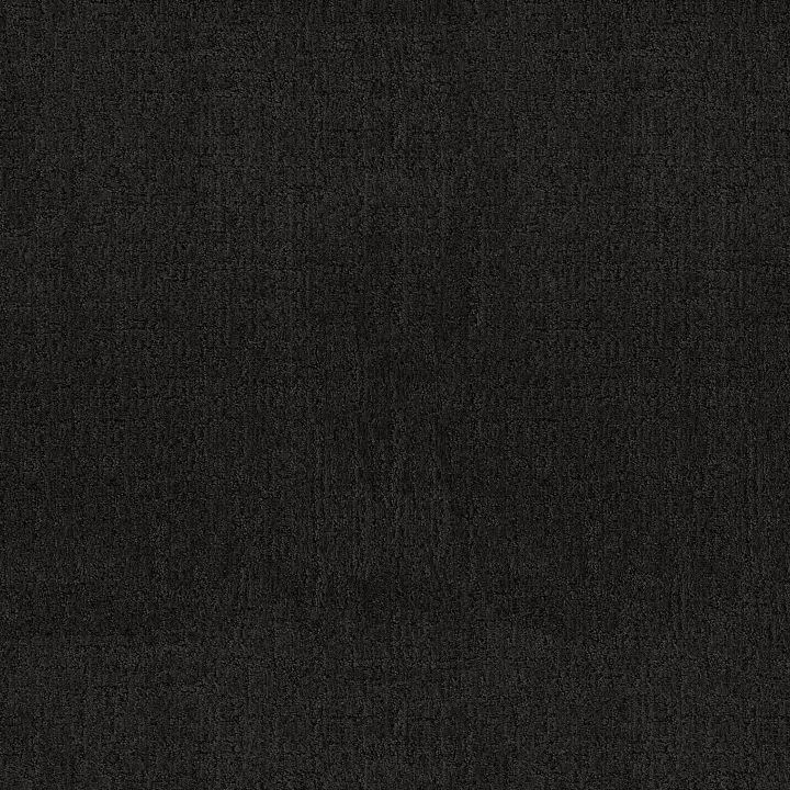 Anderson Tuftex Indulgent — Vip Lounge · ZZ331-00542 — flooring selection with LeviArs Design & Remodeling
