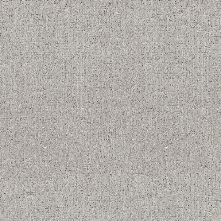Anderson Tuftex Indulgent — Whisper · ZZ331-00123 — flooring selection with LeviArs Design & Remodeling