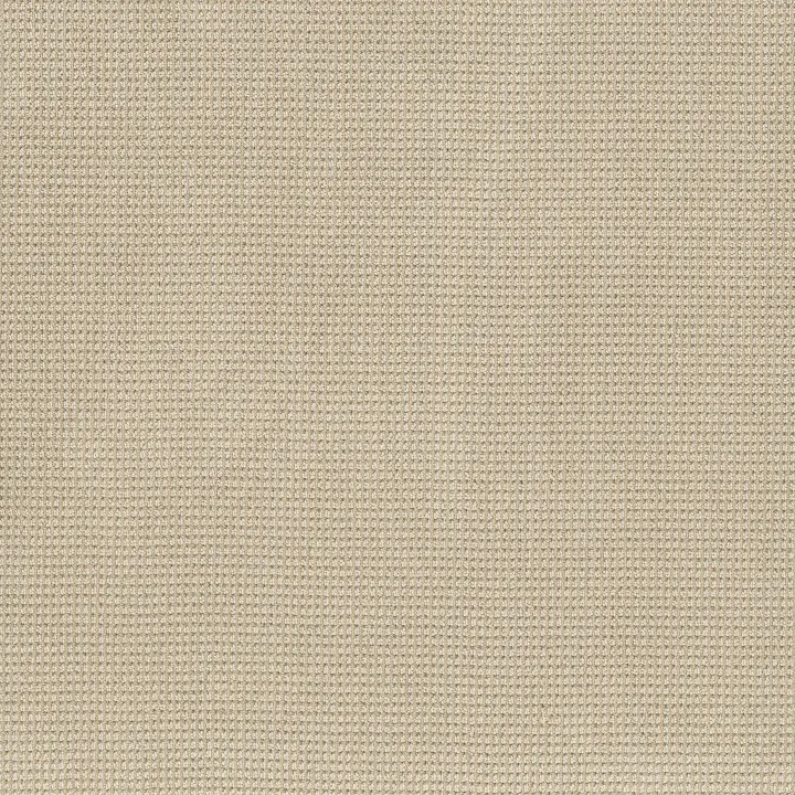 Anderson Tuftex Inspired — Basalt · ZZ317-00221 — flooring selection with LeviArs Design & Remodeling