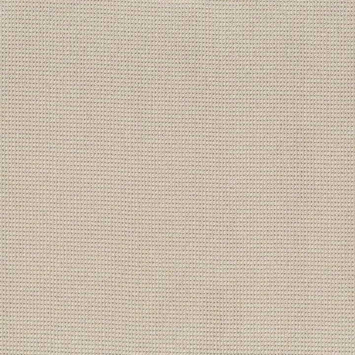 Anderson Tuftex Inspired — Birchbark · ZZ317-00121 — flooring selection with LeviArs Design & Remodeling