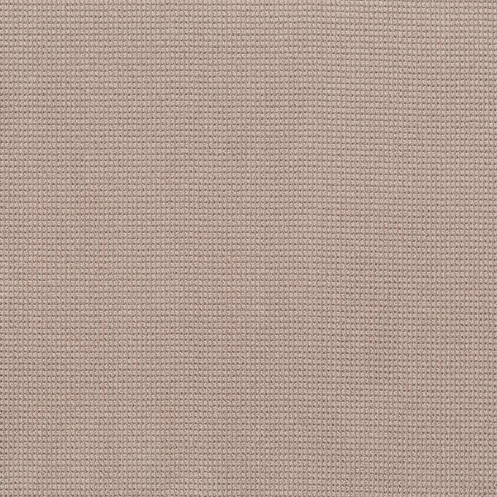 Anderson Tuftex Inspired — Blossom · ZZ317-00881 — flooring selection with LeviArs Design & Remodeling