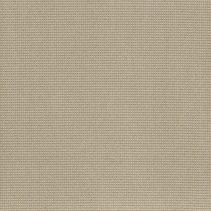 Anderson Tuftex Inspired — Cashmere · ZZ317-00114 — flooring selection with LeviArs Design & Remodeling