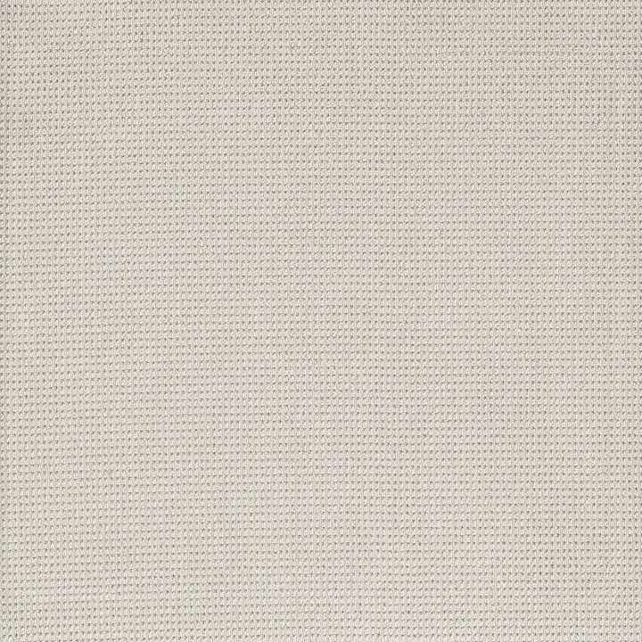 Anderson Tuftex Inspired — Cotton · ZZ317-00111 — flooring selection with LeviArs Design & Remodeling