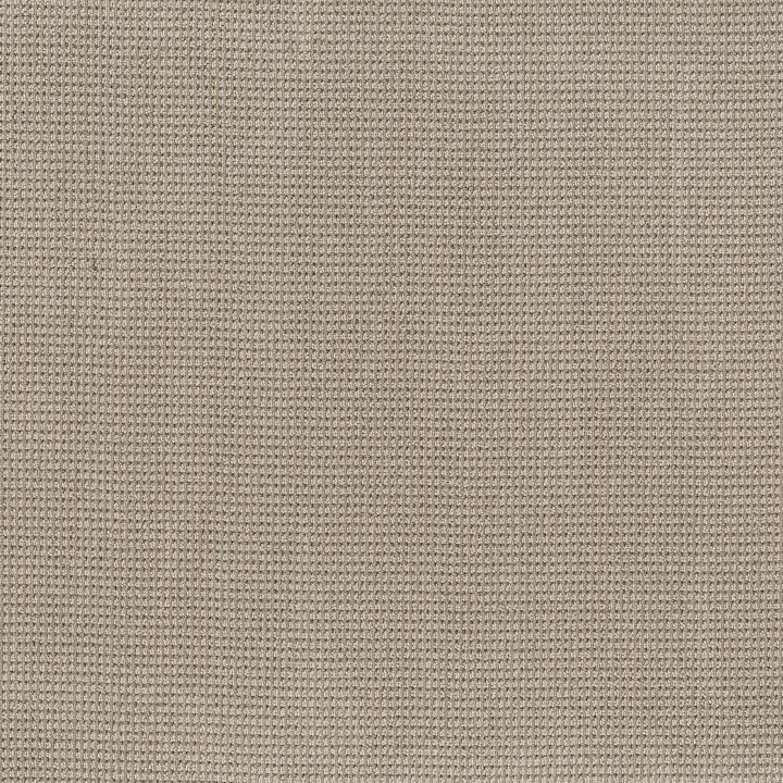 Anderson Tuftex Inspired — Gypsum · ZZ317-00171 — flooring selection with LeviArs Design & Remodeling