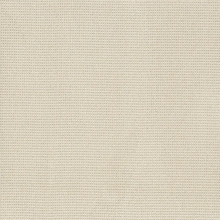 Anderson Tuftex Inspired — Ivory · ZZ317-00112 — flooring selection with LeviArs Design & Remodeling