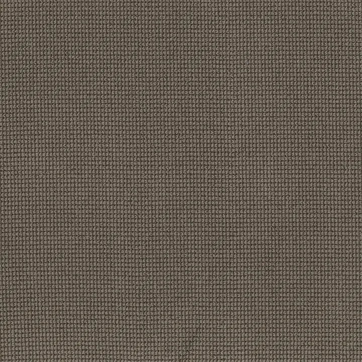 Anderson Tuftex Inspired — Meteorite · ZZ317-00775 — flooring selection with LeviArs Design & Remodeling