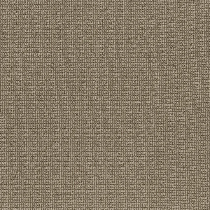 Anderson Tuftex Inspired — Mohair · ZZ317-00753 — flooring selection with LeviArs Design & Remodeling