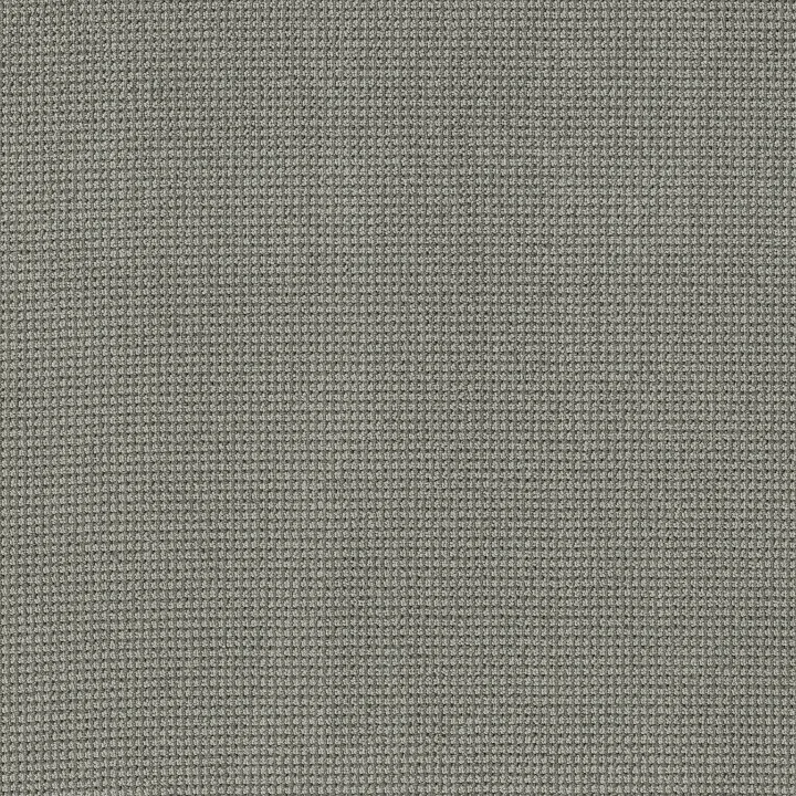 Anderson Tuftex Inspired — Nickel · ZZ317-00553 — flooring selection with LeviArs Design & Remodeling