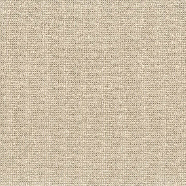 Anderson Tuftex Inspired — Papyrus · ZZ317-00113 — flooring selection with LeviArs Design & Remodeling