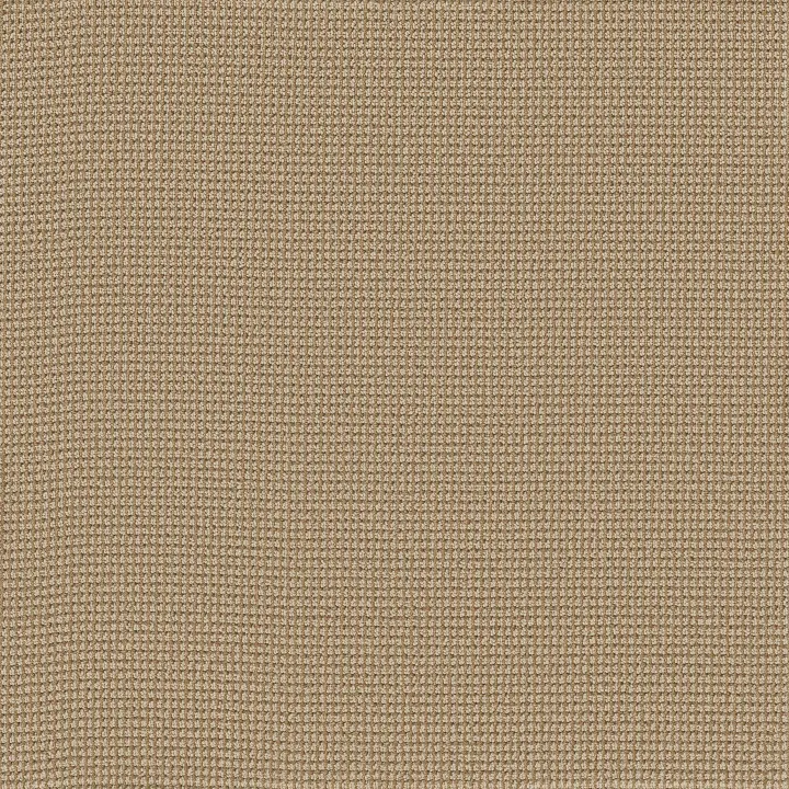 Anderson Tuftex Inspired — Topaz · ZZ317-00223 — flooring selection with LeviArs Design & Remodeling