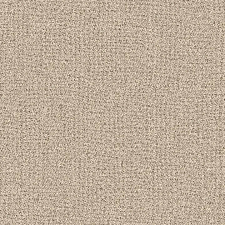 Anderson Tuftex Interwoven — Linen · ZZ348-00101 — flooring selection with LeviArs Design & Remodeling