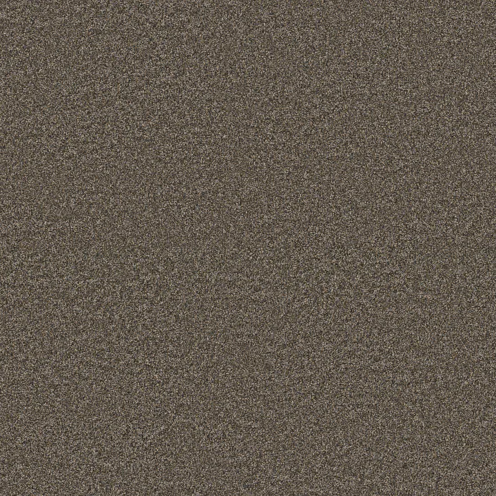 Anderson Tuftex Kaleidoscope — Amber Crystal · ZZ255-00256 — flooring selection with LeviArs Design & Remodeling