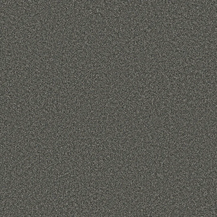 Anderson Tuftex Kaleidoscope — Catalina · ZZ255-00347 — flooring selection with LeviArs Design & Remodeling