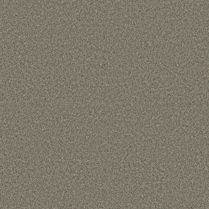 Anderson Tuftex Kaleidoscope — Cool Dill · ZZ255-00335 — flooring selection with LeviArs Design & Remodeling