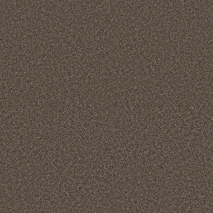 Anderson Tuftex Kaleidoscope — Earthen Brick · ZZ255-00658 — flooring selection with LeviArs Design & Remodeling
