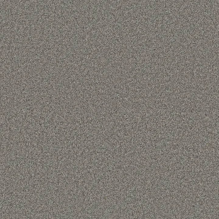 Anderson Tuftex Kaleidoscope — Element · ZZ255-00513 — flooring selection with LeviArs Design & Remodeling