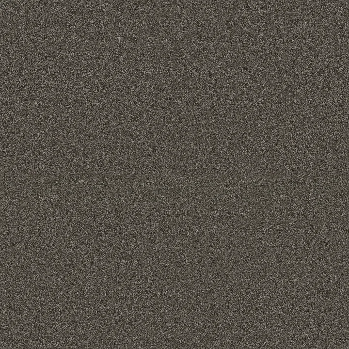 Anderson Tuftex Kaleidoscope — Espresso · ZZ255-00758 — flooring selection with LeviArs Design & Remodeling