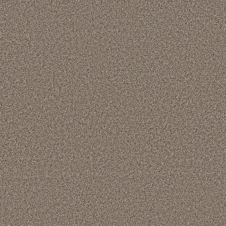 Anderson Tuftex Kaleidoscope — Natural Stone · ZZ255-00172 — flooring selection with LeviArs Design & Remodeling