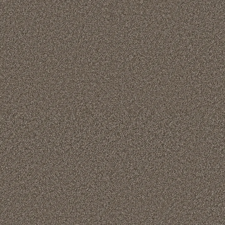 Anderson Tuftex Kaleidoscope — Open Range · ZZ255-00755 — flooring selection with LeviArs Design & Remodeling