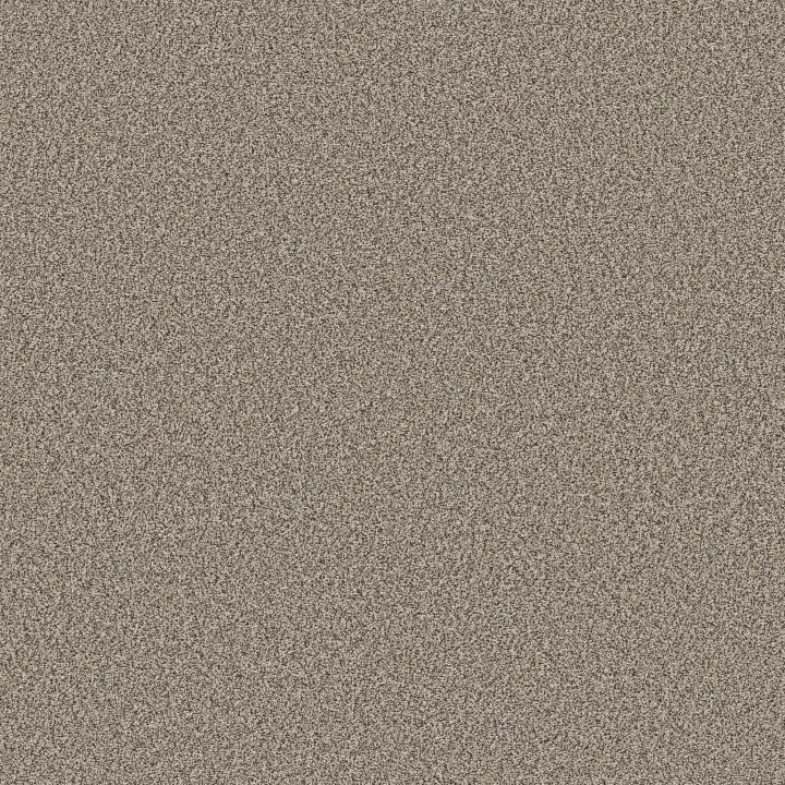 Anderson Tuftex Kaleidoscope — Sandy Cove · ZZ255-00110 — flooring selection with LeviArs Design & Remodeling