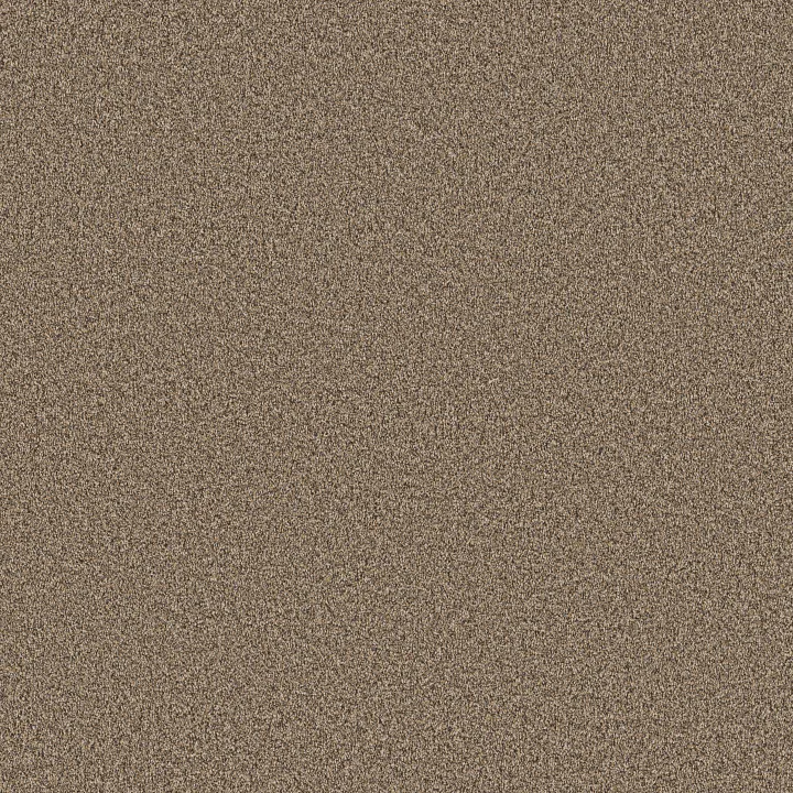 Anderson Tuftex Kaleidoscope — Shimmering · ZZ255-00200 — flooring selection with LeviArs Design & Remodeling