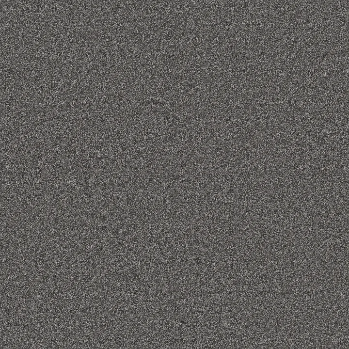 Anderson Tuftex Kaleidoscope — Smoky Quartz · ZZ255-00556 — flooring selection with LeviArs Design & Remodeling