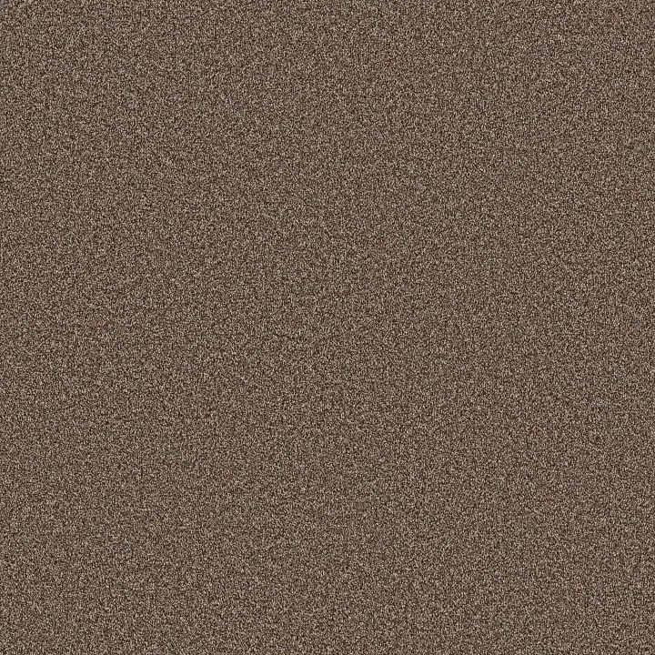 Anderson Tuftex Kaleidoscope — Sunset Bay · ZZ255-00665 — flooring selection with LeviArs Design & Remodeling