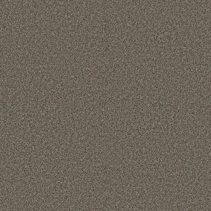 Anderson Tuftex Kaleidoscope — Trail Brown · ZZ255-00754 — flooring selection with LeviArs Design & Remodeling