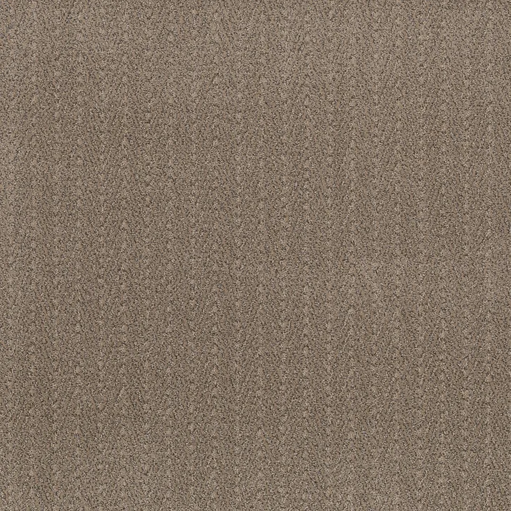 Anderson Tuftex Kit — Camelback · ZZ258-00673 — flooring selection with LeviArs Design & Remodeling