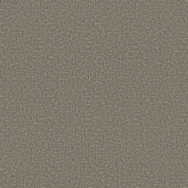 Anderson Tuftex Knickknack — Barnboard · ZZ271-00556 — flooring selection with LeviArs Design & Remodeling