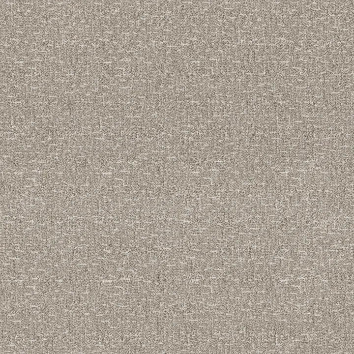 Anderson Tuftex Knickknack — Coconut Ice · ZZ271-00172 — flooring selection with LeviArs Design & Remodeling