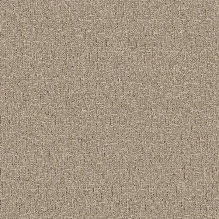 Anderson Tuftex Knickknack — Pale Almond · ZZ271-00211 — flooring selection with LeviArs Design & Remodeling