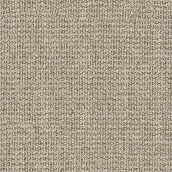 Anderson Tuftex Laine — Boardwalk · ZZ361-00701 — flooring selection with LeviArs Design & Remodeling