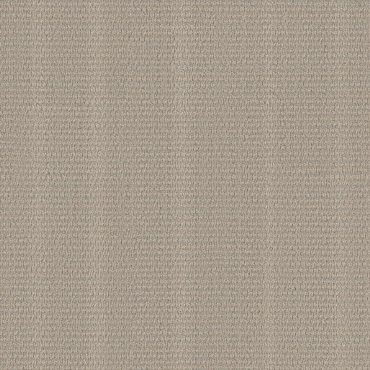 Anderson Tuftex Laine — Dockside · ZZ361-00403 — flooring selection with LeviArs Design & Remodeling