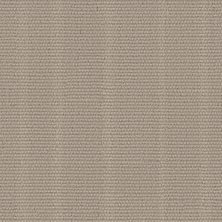 Anderson Tuftex Laine — Driftwood · ZZ361-00702 — flooring selection with LeviArs Design & Remodeling