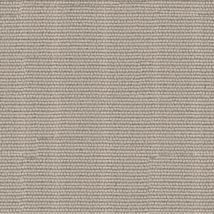 Anderson Tuftex Laine — Lighthouse · ZZ361-00106 — flooring selection with LeviArs Design & Remodeling