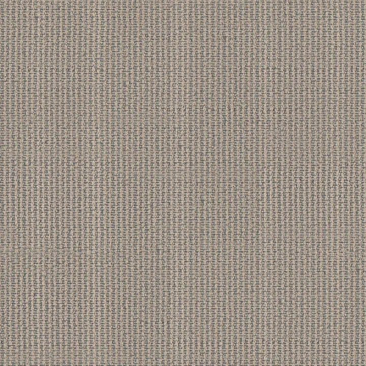 Anderson Tuftex Laine — Marina · ZZ361-00404 — flooring selection with LeviArs Design & Remodeling