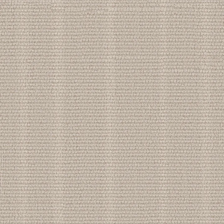 Anderson Tuftex Laine — Oyster Bar · ZZ361-00103 — flooring selection with LeviArs Design & Remodeling